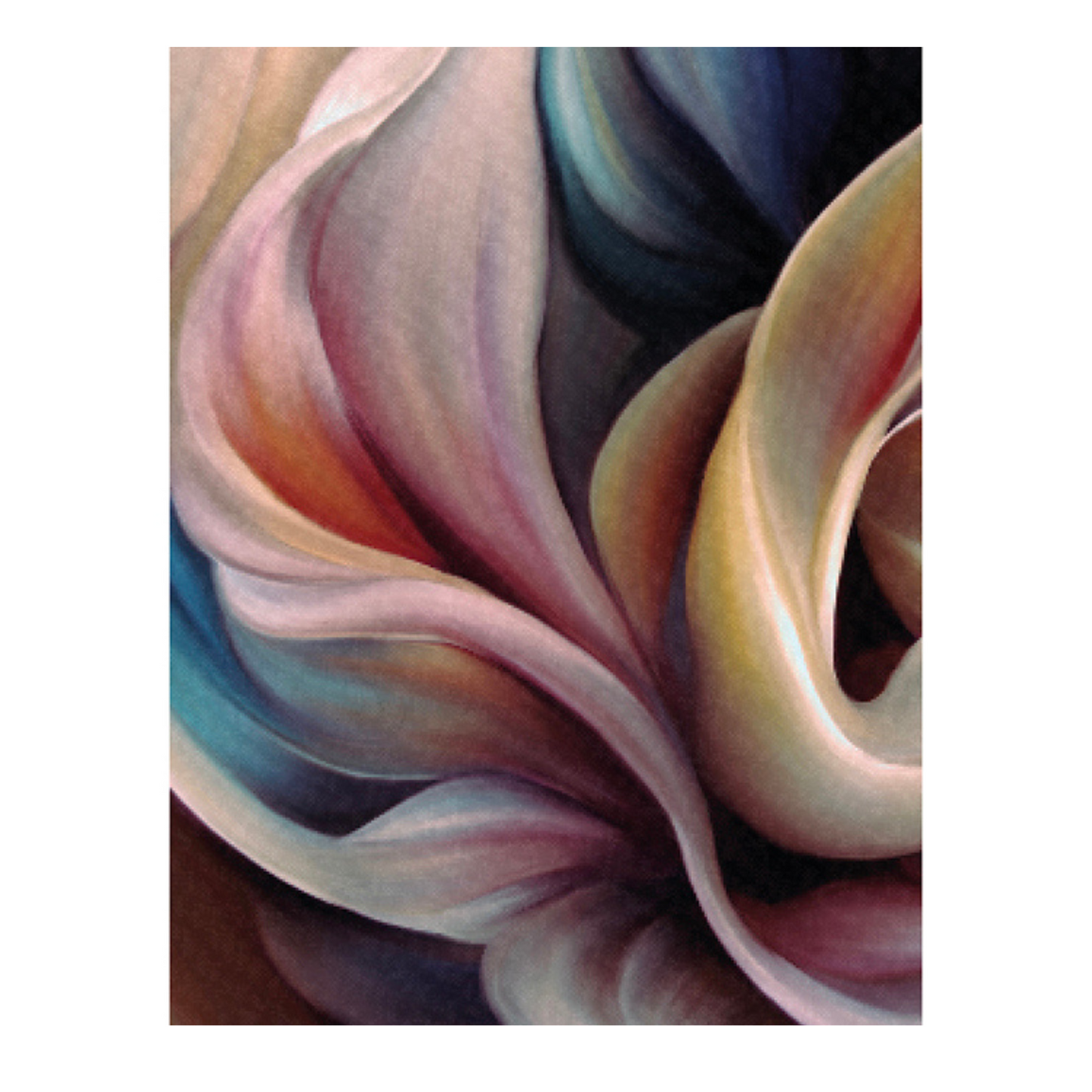 Lily & Mae Teatowel 100% cotton