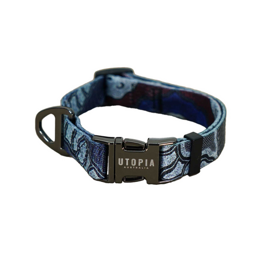 dog collar medium