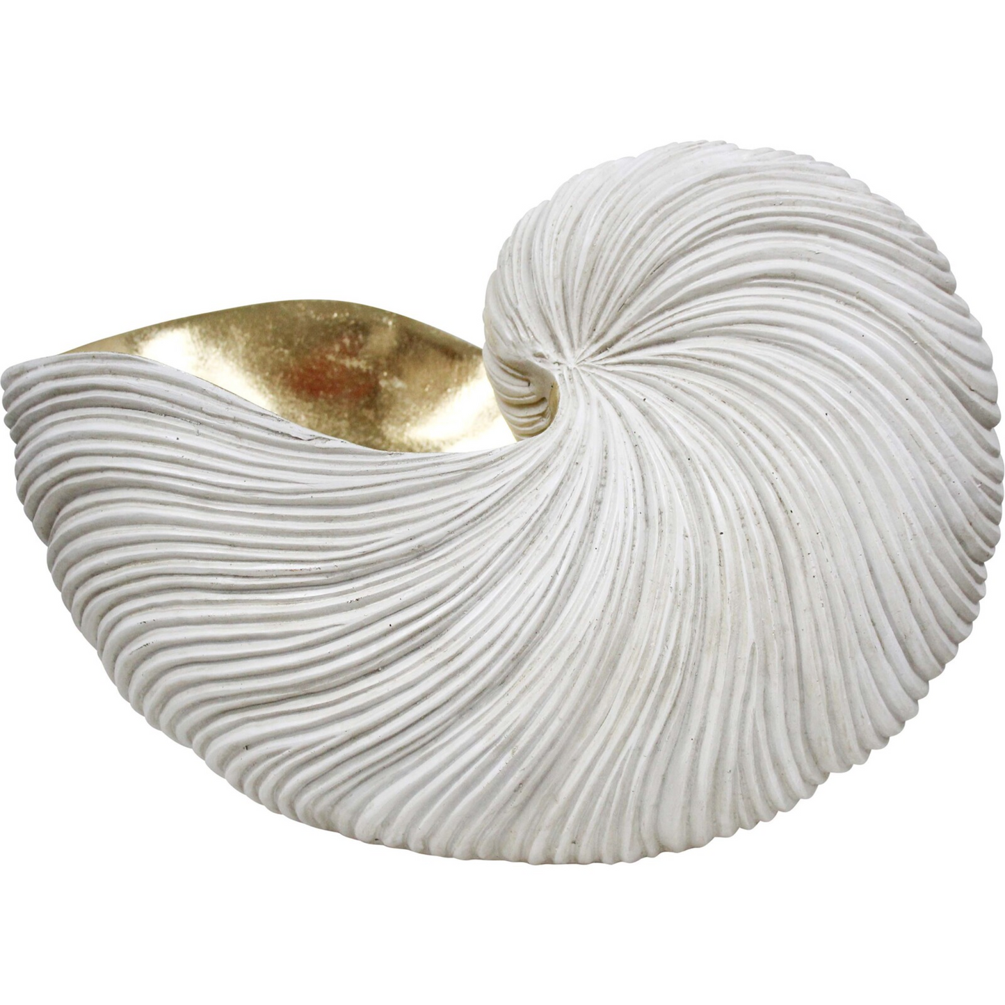 Decorative Resin 35cm Nautilus Shell XL - Aged White/Gold