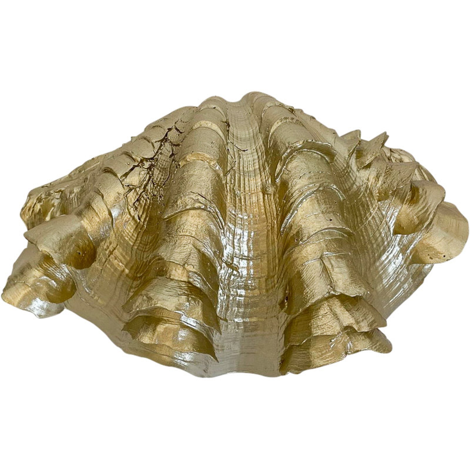 Lavida Clam Shell Small Champagne