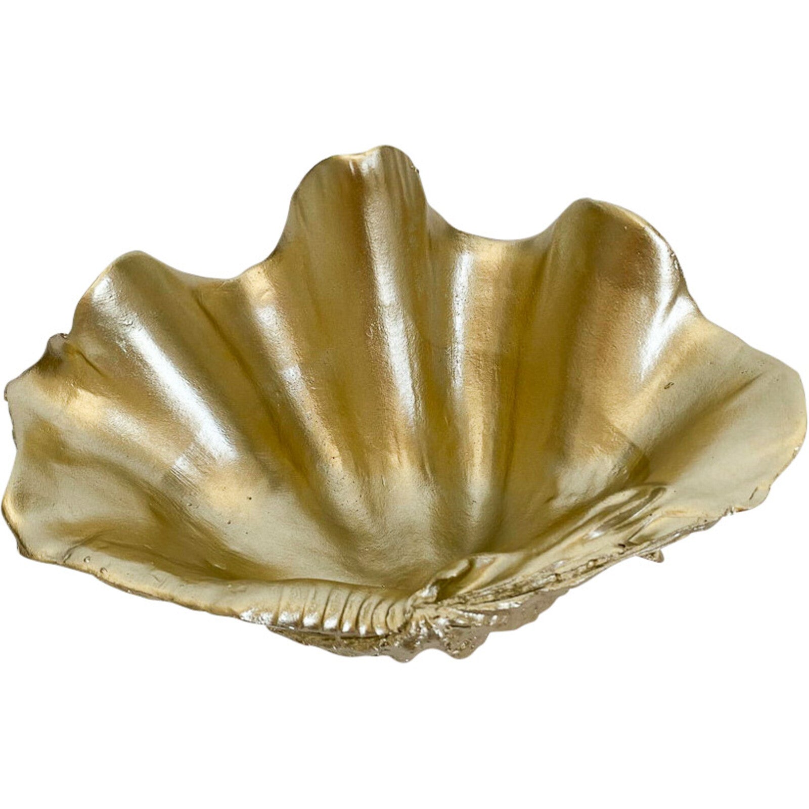 Lavida Clam Shell Small Champagne