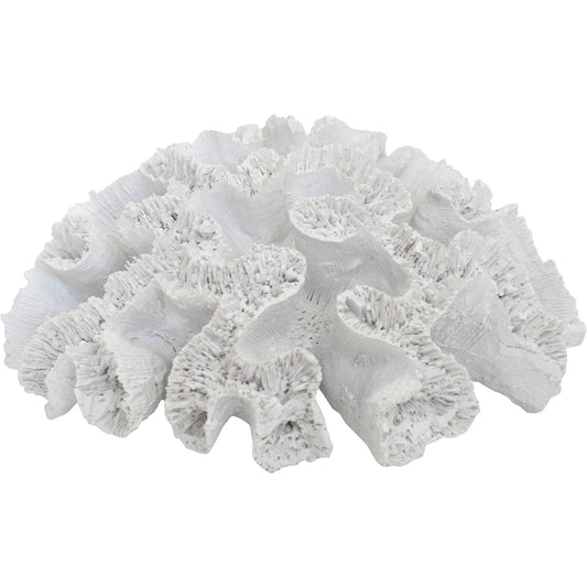 Coral in White