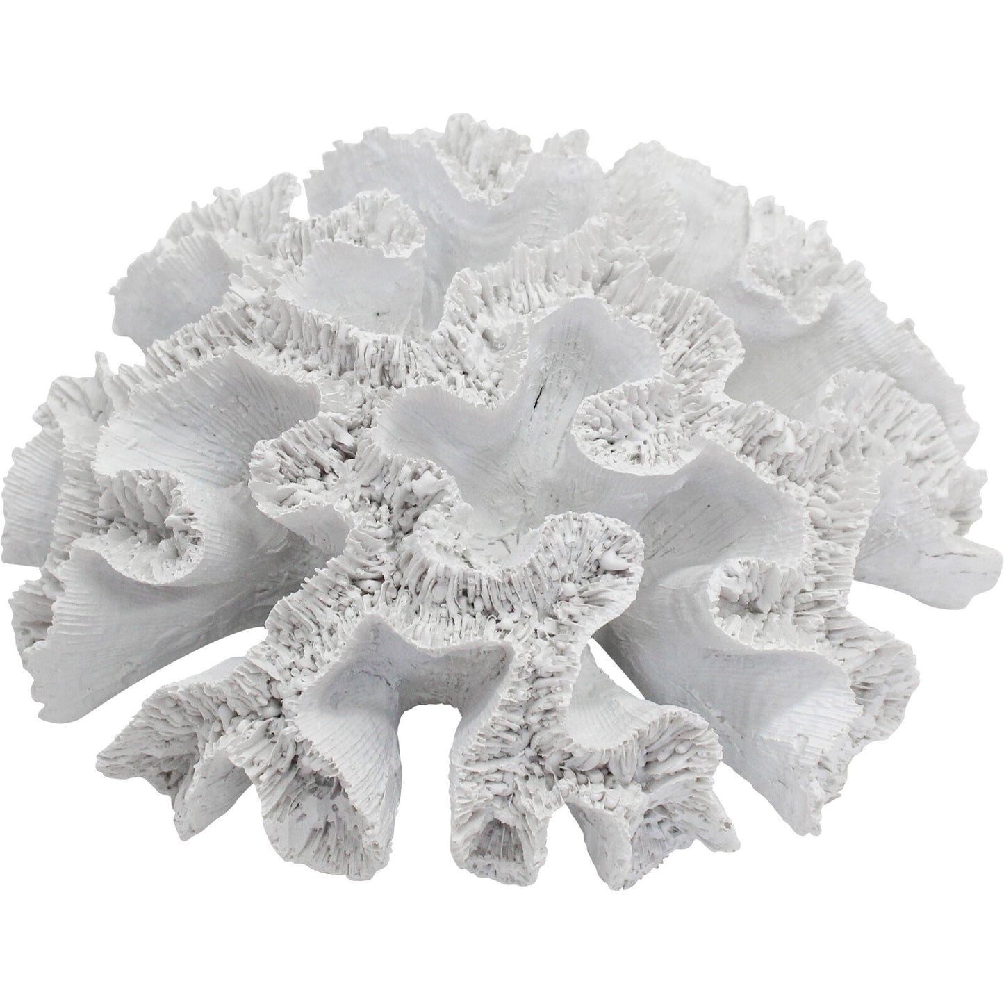 Coral in White