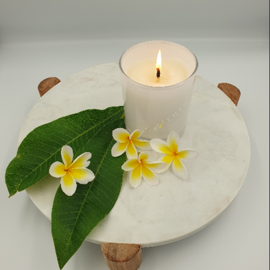 Frangipani Scented Candles - Australian Made